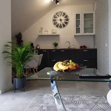 Apartament Apartament Kwiat Lotosu Jelenia Góra Zewnętrze zdjęcie